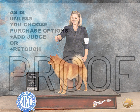 Finnish Spit #5 Sun G3 Judge Gloria Kerr-MMJ_5137-Abilene2022-HR3