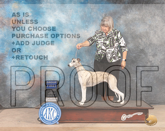 Whippet #16 Sun G1 Judge Lori Nelson-MMJ_4913-Abilene2022-HR3