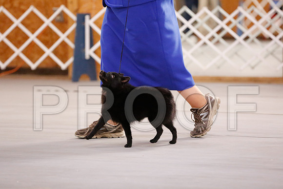 _RH_6712-CarlrolltonSept2014-HR3