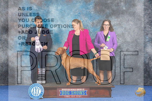 Vizsla #21 Wed BOSweeps Judge Joao Machado__JP_7423_Houston_2024_HR3