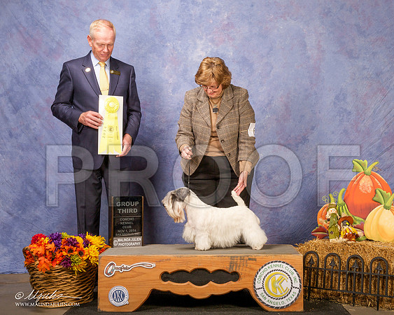 _CL_4523 - Version 2-SanAngelo2014-HR3