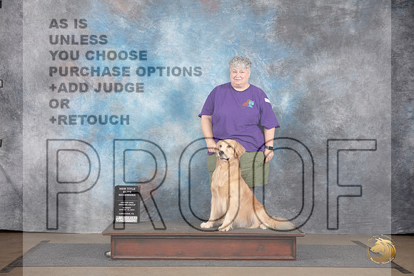 Golden Retriever #616 Sun New Title Elite Judge Peter Betchly__JP_2960_LongviewTX_2024_HR3