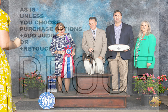 Papillion #23 Sat BIS Judge Elizabeth ‘Beth’ Sweigart__JP_5596_San Antonio_2024_HR3