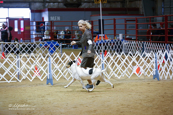 CollieS-3840-GRJan14-HR