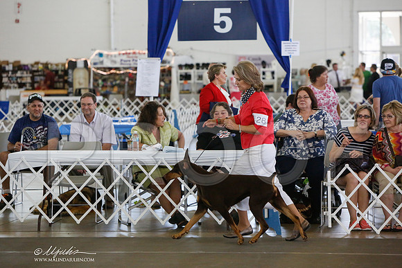 _JJ_1584-DallasJul2014-HR3