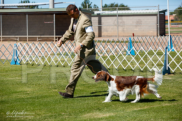 _JJ_5026-AlamogordoOct2014-HR3
