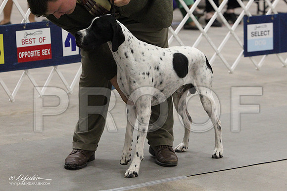 Pointer-9276LR