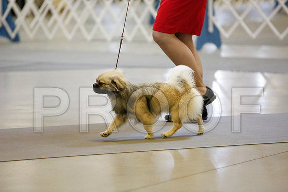 _JJ_8265-AmarilloSept2014-HR3
