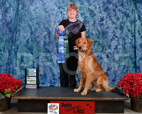 StdNov-8889-WFOct2013-HR