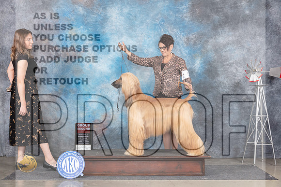 Afghan Hound #6 Sat G2 Judge Pat Trotter__JP_5988_Amarillo_2024_HR3