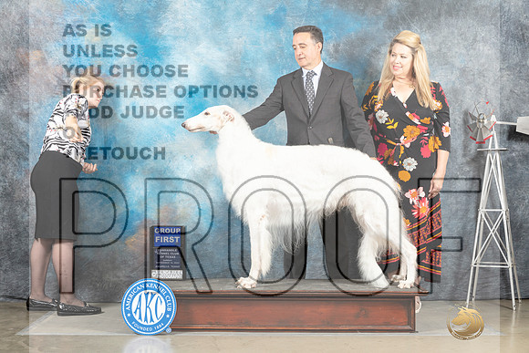 Borzoi #11 Sun G1 Judge Sharon Derrick_MJ_5135_Amarillo_2022_HR3