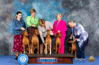 CUSTOM Vizsla Family WED