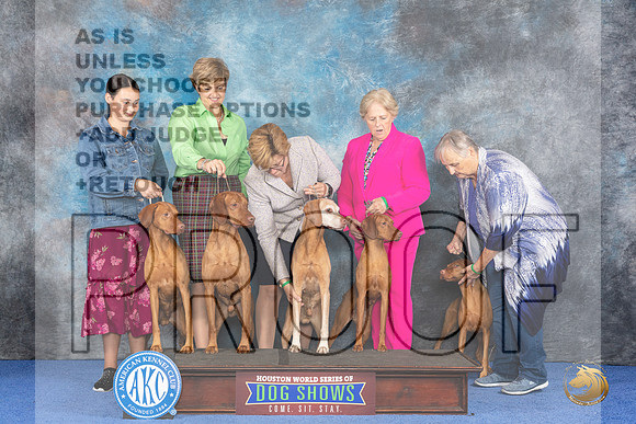 CUSTOM Vizsla Family WED__JP_7552_Houston_2024_HR3