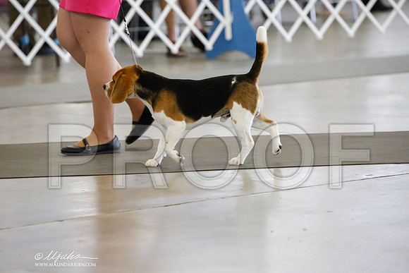 _HR_0183-DallasJul2014-HR3