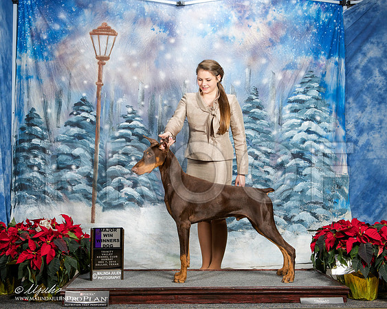 _ST_9108-DallasDec2014-HR3