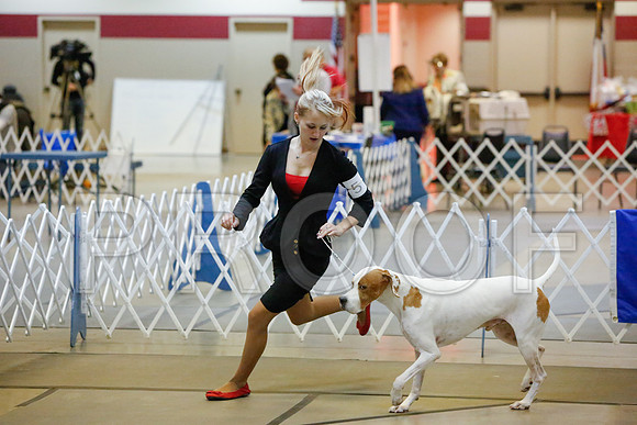 _JJ_2679-AmarilloSept2014-HR3
