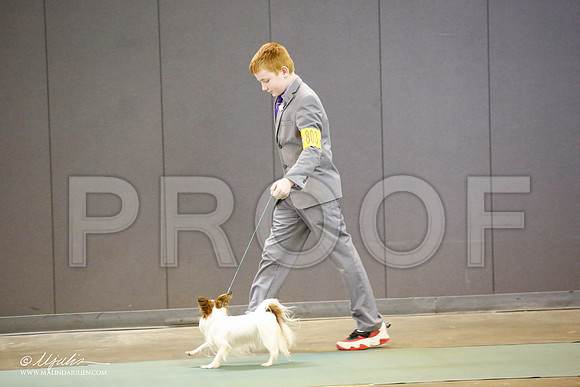 _JN_5636-BeltonJan2015-HR3