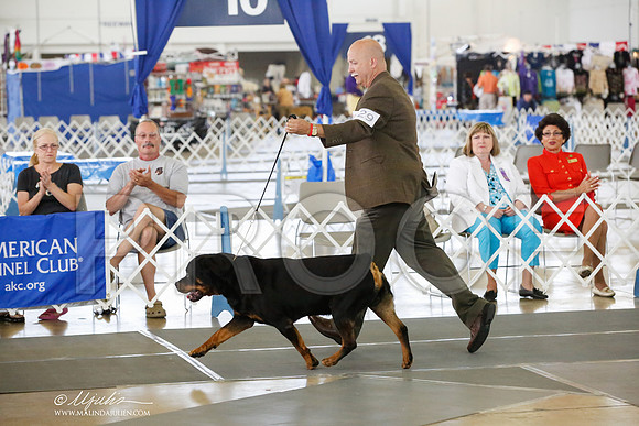 _HR_4183-DallasJul2014-HR3