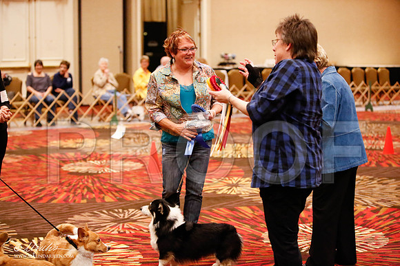_JJ_7738-HstnCorgiFeb2015-HR3