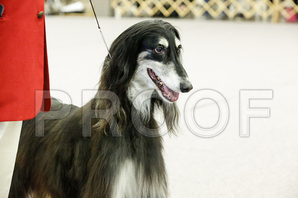 _JJ_7988-AfgBeltonOct2014-HR3