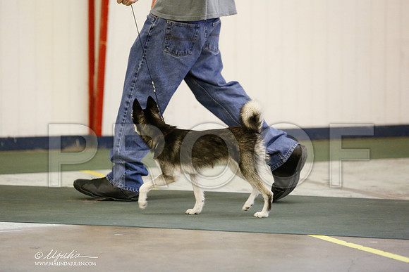 _RH_3671-DntnJun2014-HR3