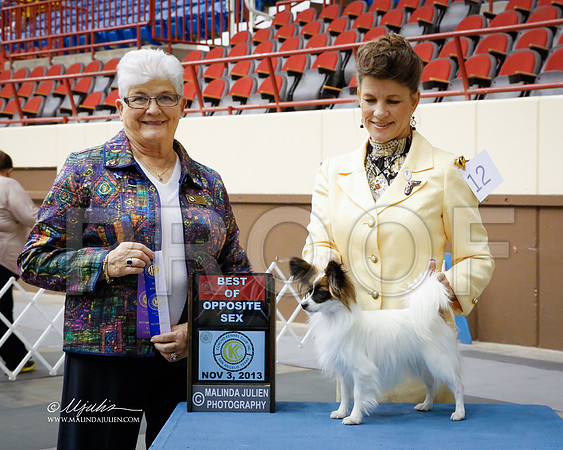 Pap-2535-SANov13-HR