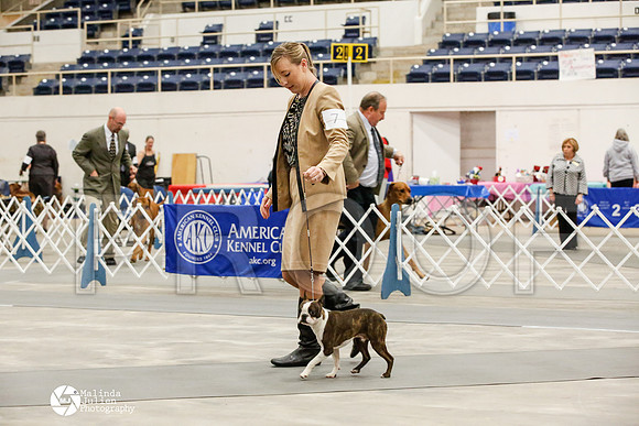 _JJ_7197-AblnMay2014-web