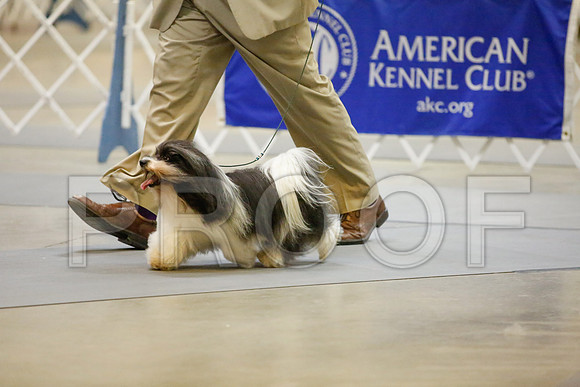 _JJ_8755-AmarilloSept2014-HR3