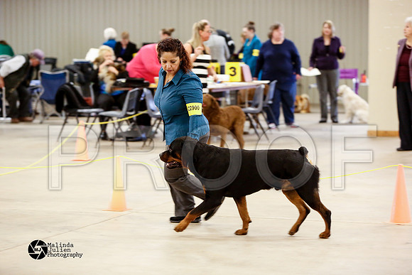 _CL_2119-WacoFeb14-HR