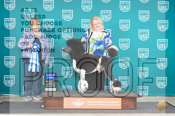 Poodle Std MC #128 Fr G1 Judge Mary Ellen Meyer__JP_6361_BatesvilleMS_2024_HR3