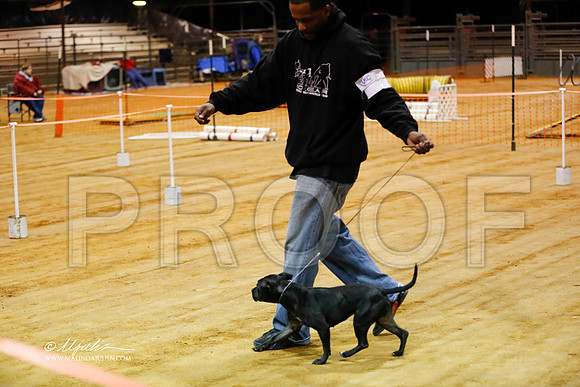 staffy-1444-MrshlDec13-HR