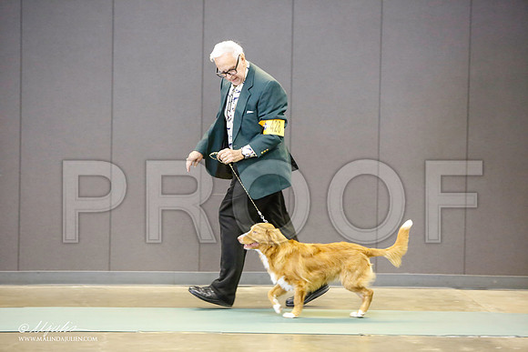 _LH_3098-BeltonJan2015-HR3