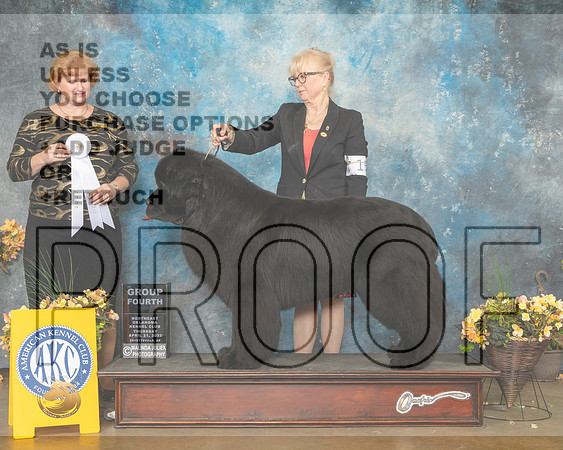 Newfoundland #5 Thur G4 Judge Betty Pollock-MMJ_9011-NWARK2022-HR3
