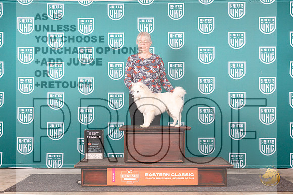 American Eskimo #304 Sun BF Judge Larry Hansen__JP_2286_UKCEastern_2024_HR3