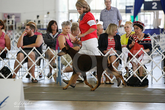 _JJ_1745-DallasJul2014-HR3