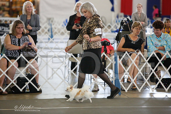 _JJ_3236-DallasJul2014-HR3