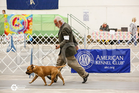 _CK_8526-AblnMay2014-web