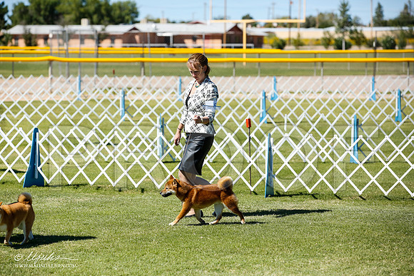 _JN_9241-AlamogordoOct2014-HR3