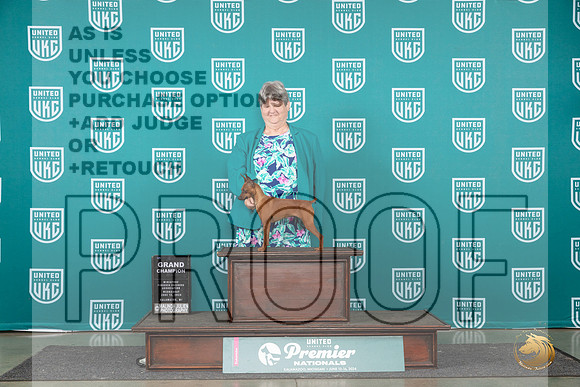 Miniature Pinscher # Wed GCH r__JP_2209_Premier_2024_HR3