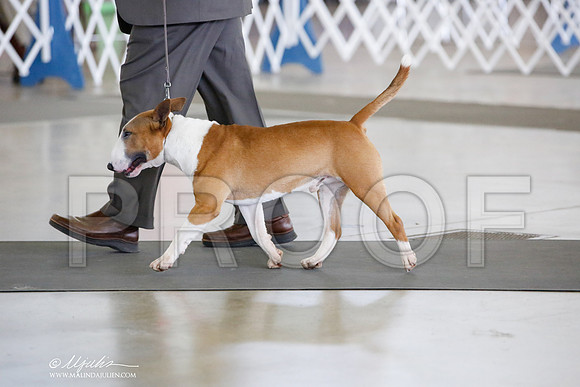 _JN_5202-DallasJul2014-HR3