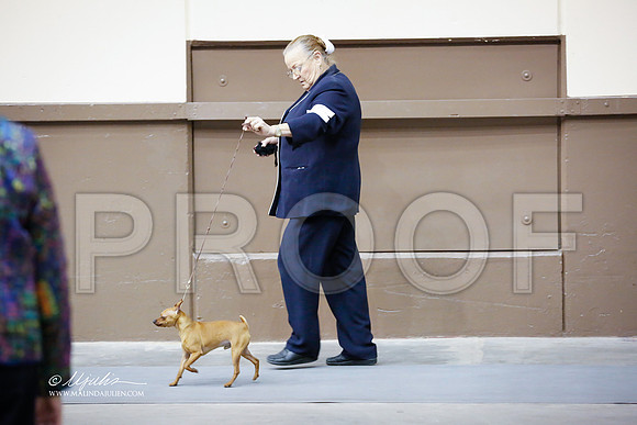 MinPin-2969-SANov13-HR