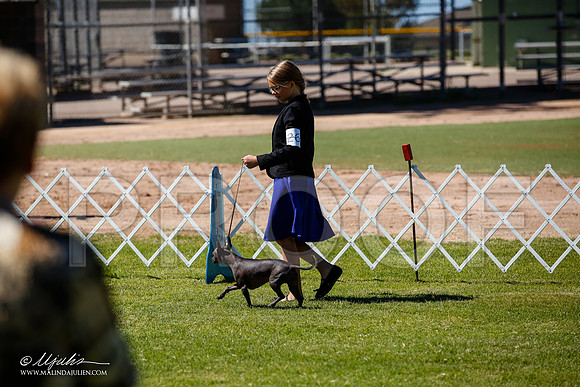 _JJ_8098-AlamogordoOct2014-HR3