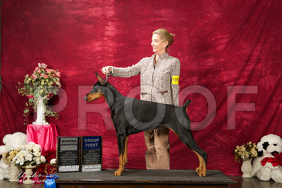 _ST_3008-BeltonJan2015IABCA-HR3