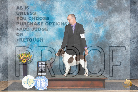 Brittany #8 Sat WBBOWM Judge Sharol Candace Way__JP_9772_Abilene_2024_HR3