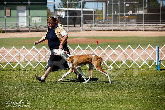 _JJ_7640-AlamogordoOct2014-HR3
