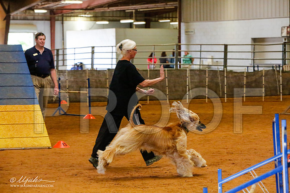 _MJ_2389-AfgBeltonOct2014-HR3