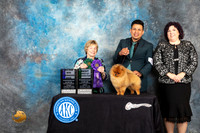 Pomeranian #11 WDMBBX Judge Sharon Masnick