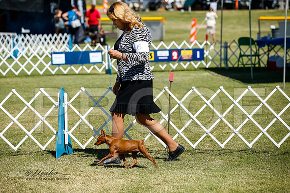 _JJ_3400-AlamogordoOct2014-HR3