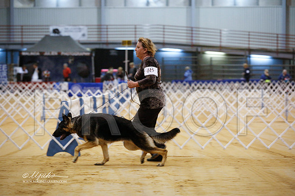 GSD-9763-GRJan14-HR