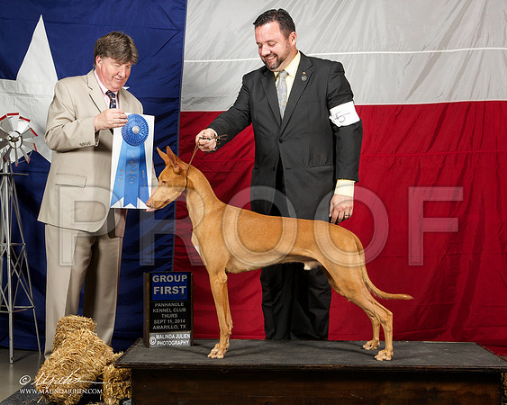 _ST_1452-AmarilloSep2014-HR3